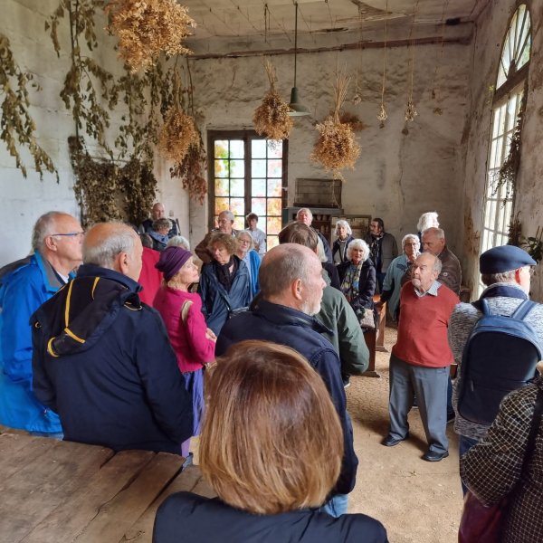 CultureellTiregand2